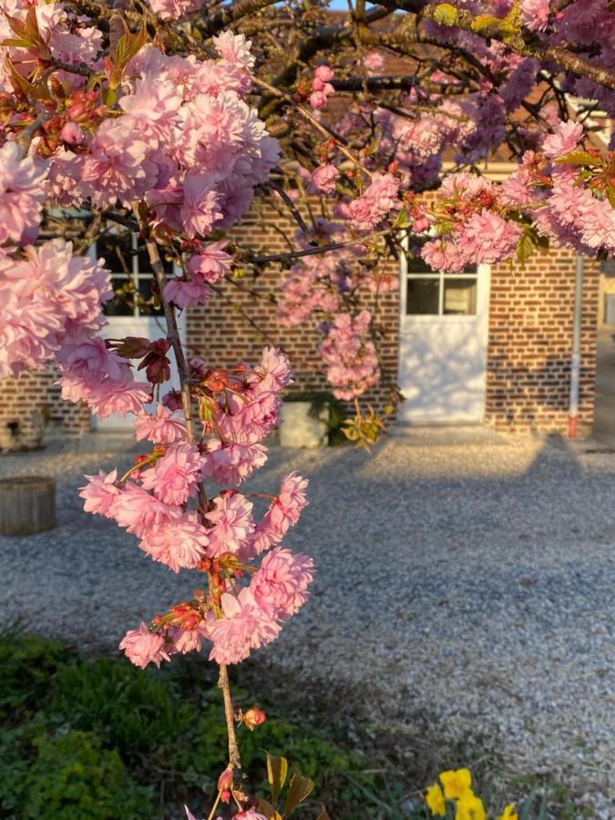Richebourg Le Domaine Des Saules别墅 外观 照片